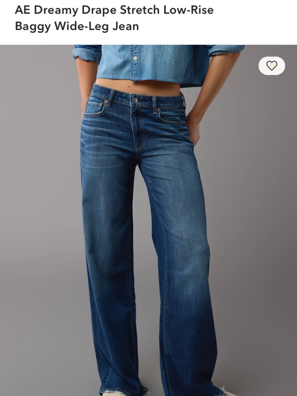 American Eagle Outfitters Stretched Low-Rise Baggy Wide-Leg Jeans